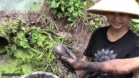 TÁT MƯƠNG HUYỀN THOẠI BẮT CÁ ĐỒNG THẤY HAM ( Fishing ) NHỚ MÃI MÂM CƠM MIỀN TÂY