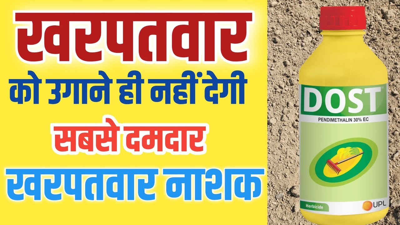खरपतवार को उगने ही नहीं देगी यह खरपतवार नाशक Pendimethalin 30% EC Dose Price uses in hindi 