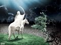قصة عن المرأة التي تغضب على ولدها قصة عن المرأة التي تغضب على ولدها