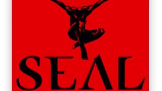 Seal: Crazy (Cover Version)