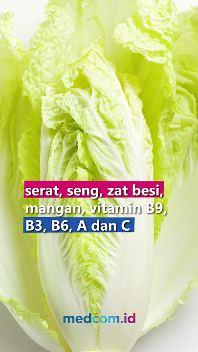 5 FAKTA MENARIK SAWI PUTIH UNTUK ASAM URAT, BOLEHKAH DIKONSUMSI