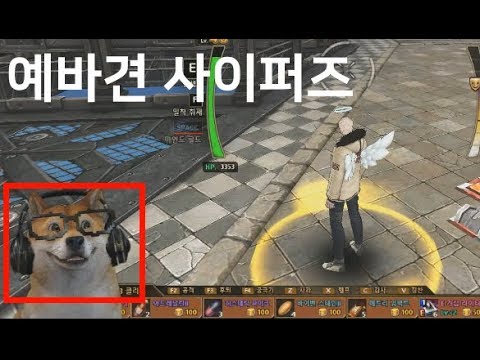 시바견 사이퍼즈 하는 영상 -YeahA_