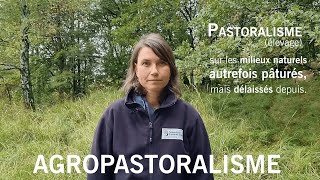 ASK : l'agropastoralisme, qu'est-ce que c'est ?