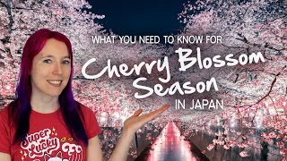 🌸 Tips for Cherry Blossom Season 🌸 Sakura in Japan 2024