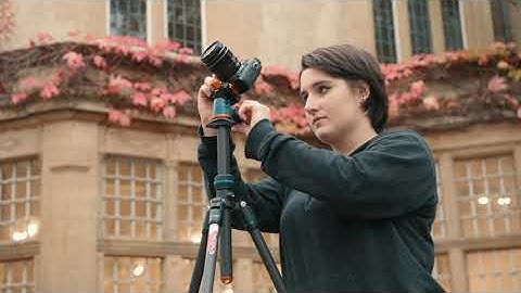 Introducing 3 Legged Thing Punks 2.0 - overview