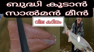 ബുദ്ധി വളർച്ചക്ക് സാൽമൻ ഫിഷ് , Norwegian Salmon Fish Malayalam