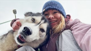 Chatty Husky FINALLY Got SNOW! Makes Him SNORT!