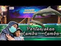 Atraksi lumba lumba di ancol seaworld, tiket seaworld ancol