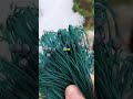Traditional Fishing Boat Journey 🚤 Catching Tons of Fish in Deep Sea