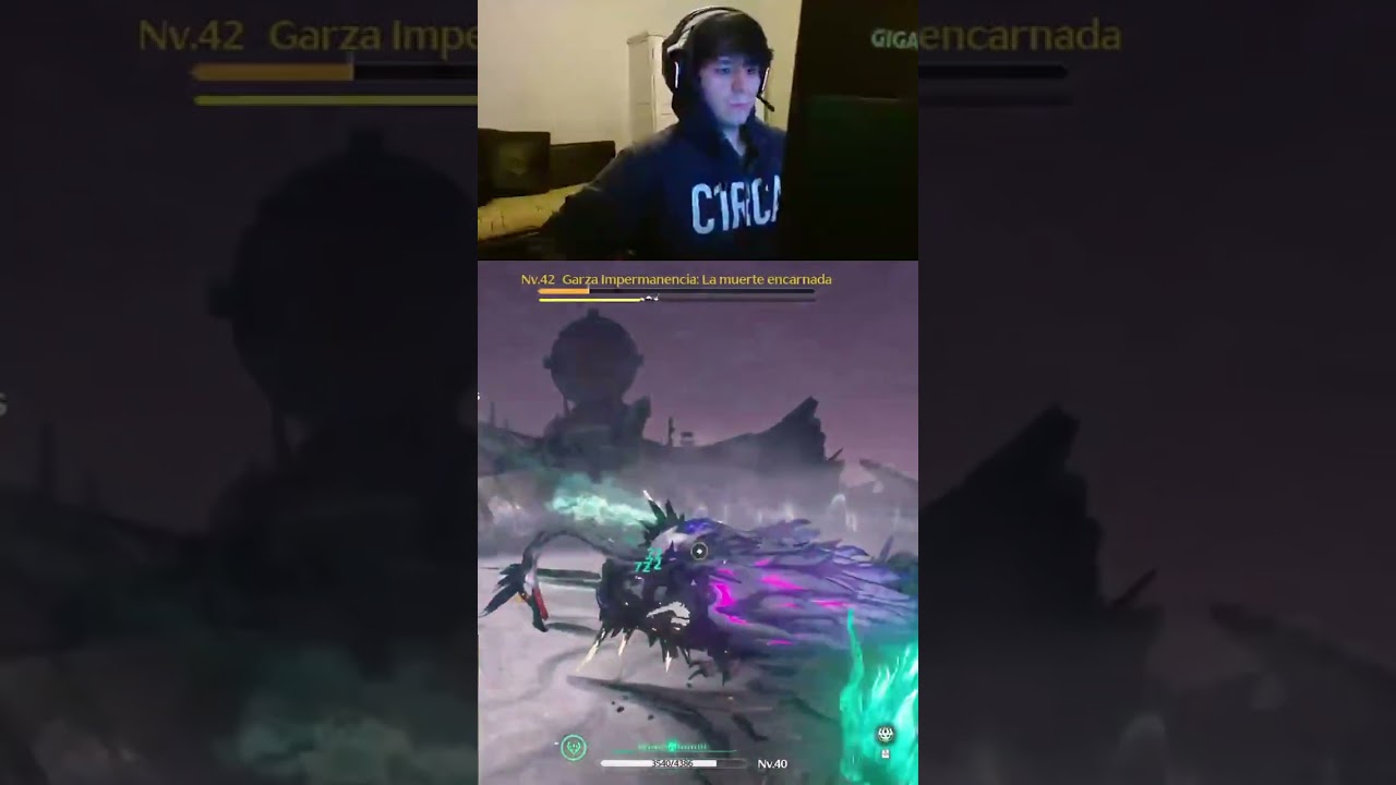 Wuthering Waves | qunnyq_ de 