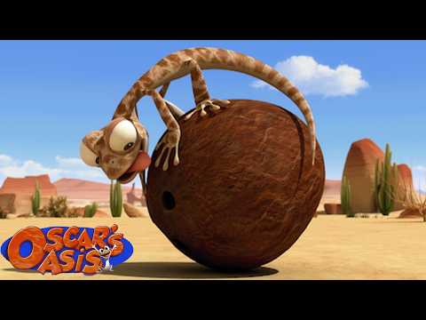 Oscar Finds a Coconut in The Desert + More Oscar's Oasis Cartoons for Kids