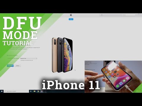 DFU Mode iPhone 11 - How to Enter & Quit DFU Mode