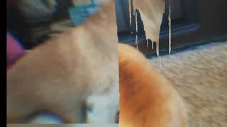 Клип на песню Люби меня люби Клип на песню Люби меня люби