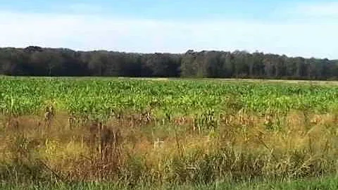 Homes for Sale - 408 N Gregory Rd Shawboro NC 2797...