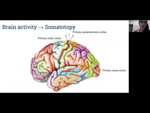 Brain Computer Interface Presentation for Neurosurgical.TV