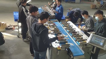 14 Head Linear Combination Weigher for Snack