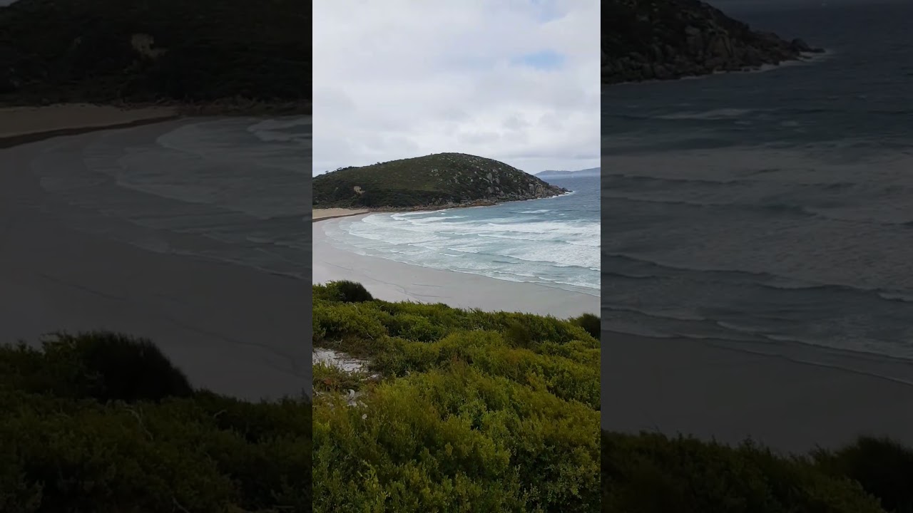 Clean And Green, No Human, No Pollution 