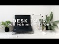 Tour por mi escritorio y área de estudio (actualizado) / desk tour 🪴 thelma study 🦔