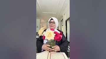 سورة النساء / تدبر / الصفحة 6 (82)