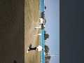 Live highlight