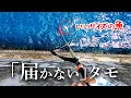 デカい魚とのバトル中、取り出したタモの長さがギリギリ その8