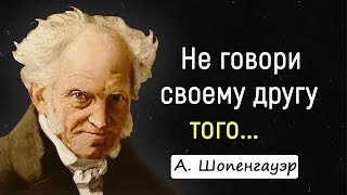 Цитаты Шопенгауэра, К Которым Стоит Прислушаться. | Цитаты, Афоризмы, Мудрые Мысли.