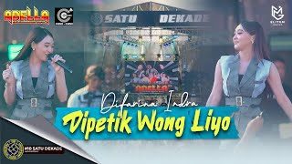 DIFARINA INDRA - DIPETIK WONG LIYO (LIVE ADELLA X CUMI CUMI AUDIO) 1 DEKADE PEMUDA CURAHJATI BERSATU