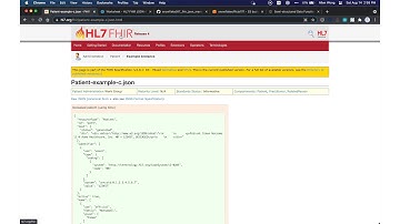 Snowflake HL7 FHIR JSON Manipulation Export