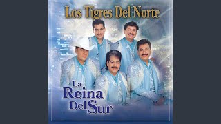 Video thumbnail of "Los Tigres Del Norte - Me Regalo Contigo"