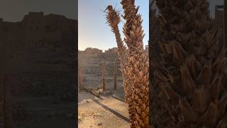 A forgotten oasis with a timeless story