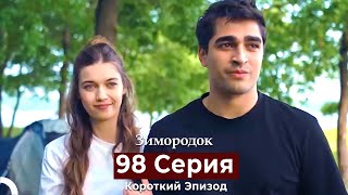 Зимородок 98 Cерия (Короткий Эпизод) (Русский Дубляж)