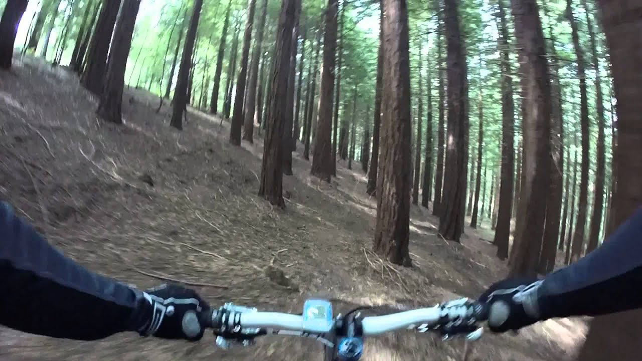 Shearwater DH Longleat Forest