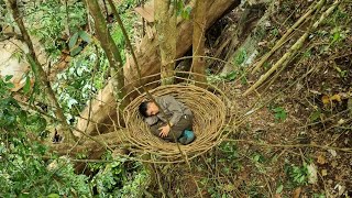 Build a cool shelter, using string to create a spider web. by Tropical Forest 16,027 views 6 months ago 28 minutes