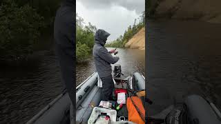 Coho salmon, Sakhalin #fishing #рыбалка #spinning #кижуч