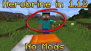 How To Spawn Herobrine in Minecraft 1.12 NO MODS (it works)