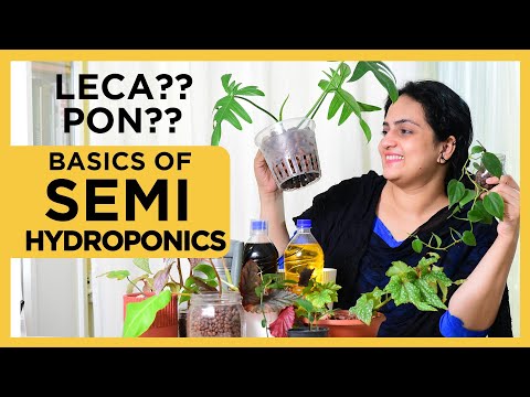 Semi Hydroponics - Basics, How To , Tips U0026 Tricks | Soilless Medium | Nutrient Water For Hydroponics