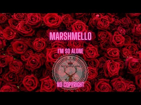 Marshmello - Alone No Copyright Music