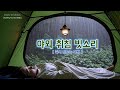 비 오는 숲 텐트 캠핑 | 듣자마자 졸려지는 빗방울 소리