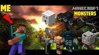 Killing Every Minecraft Monster In One Video|Crazy video