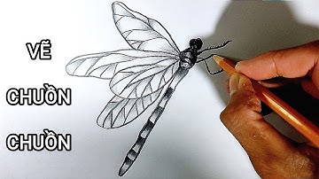 Vẽ CON CHUỒN CHUỒN bằng bút chì | How to draw a Dragonfly