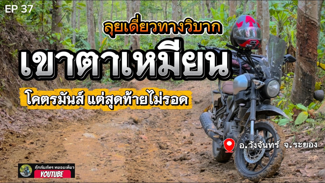 EP 37  XSR155 ลุยเดี่ยวทางวิบากขึ้น เขาตาเหมียนระยอง ครั้งแรกไม่รอด กุ๊กกับภัทรทยอยเที่ยว