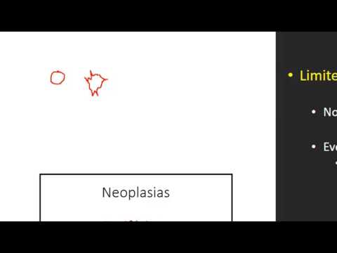 Vídeo: O que significa disseminação linfangítica?
