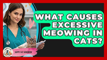 What Causes Excessive Meowing In Cats? - Happy Cat Handbook