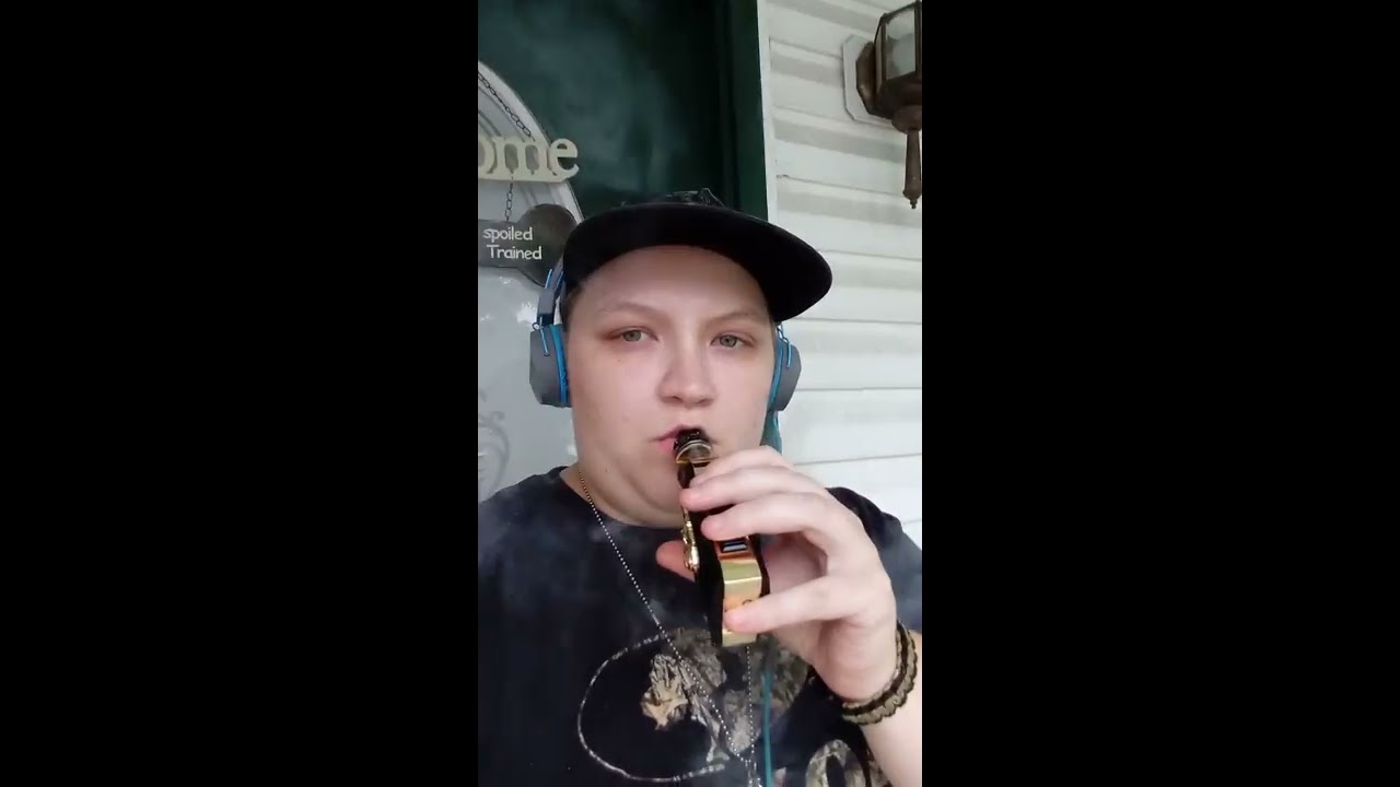 The Snowwolf MFENG 200 Watt Rating