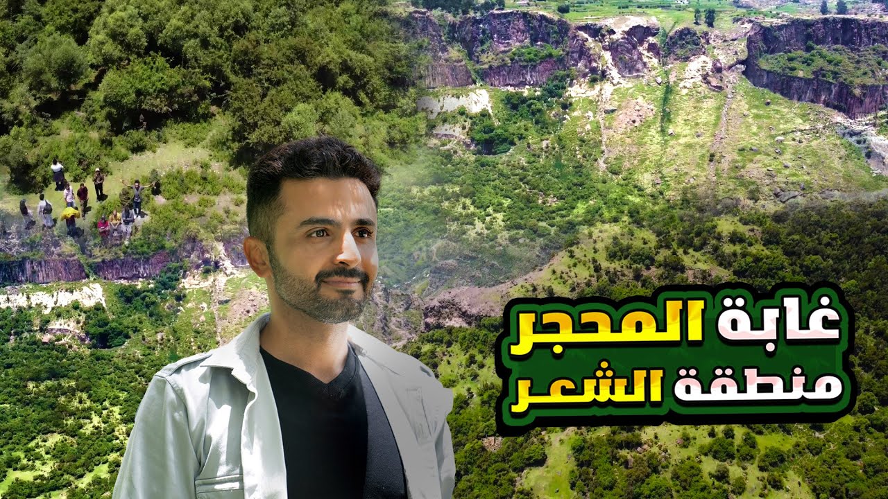 غابة المحجر في الشعر | اول محمية في مدينة إب 🌳 🇾🇪 اليمن