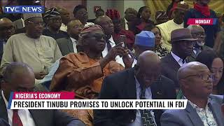 I Will Unlock Potential In Foreign Direct Investment, President Tinubu Promises