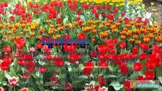 Saek Bek Knea By Ros Sereysothea