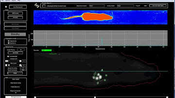 GaitLab  CatWalk method analysis