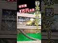【爬虫類ケージDIY】特大ケージを安く簡単に作る方法 #shorts #animals #reptiles