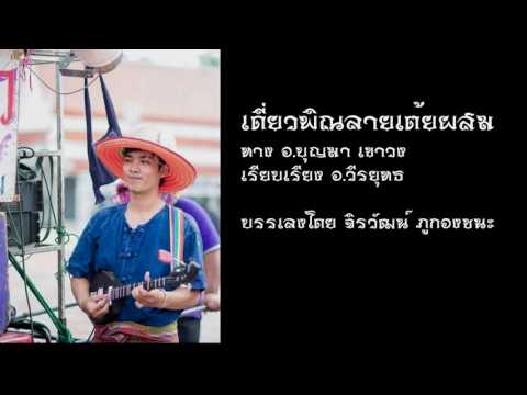 เดี่ยวพิณลาย เต้ยผสม By. Noei Dimension